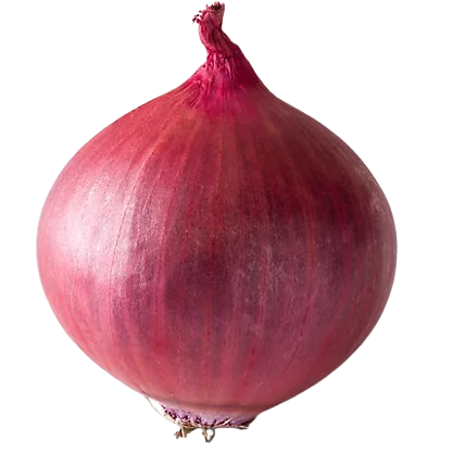 Onion