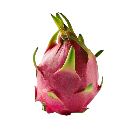 Dragon Fruit